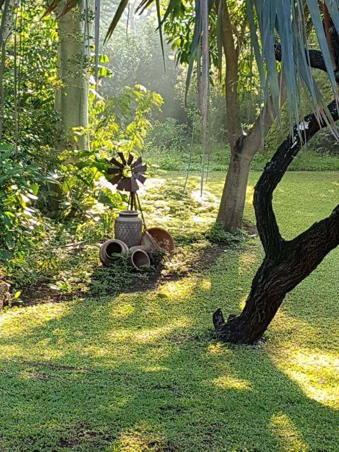 Kruger Allo B&B Komatipoort Ngoại thất bức ảnh